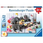 12 pc Ravensburger Puzzle - Cute Little Furballs 2x12pc NEW
