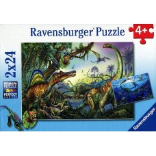 Puzzles from Ravensburger from who what why
