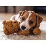 500 pc Ravensburger Puzzle - Cuddle Buddies 500 pc Ravensburger Puzzle - Cuddle Buddies