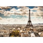 1000 pc Ravensburger Puzzle - Beautiful Skylines - Paris 