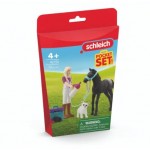 Care Set for Foal - Schleich 42755 NEW in 2025