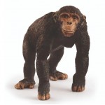 Chimpanzee - Schleich 14883 NEW in 2025