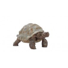 Giant Tortise - Schleich Wildlife 14824