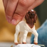 Goat Boer Kid - Schleich 14930 NEW in 2026