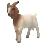 Goat Boer - Schleich 14929 NEW in 2026 Goat Boer - Schleich 14929 NEW in 2026