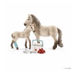 Hannah's First-Aid Kit - Schleich 42752 Hannah's First-Aid Kit - Schleich 42752