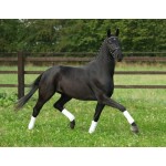 Horse - Hannoverian Mare, Black - Schleich 13927