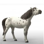 Horse - Knabstrupper Gelding - Schleich 14916 NEW in 2026