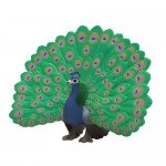  Peacock - Schleich 14926 NEW in 2026