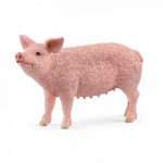 Pig - Schleich 13933