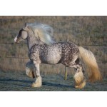 Horse - Silver Dapple Mare - Schleich 13914