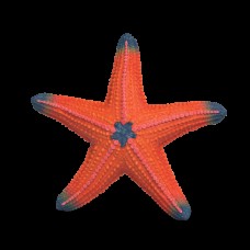 Starfish Colour Changing - Schleich 14902 NEW in 2026 Starfish Colour Changing - Schleich 14902 NEW in 2026