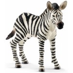 Zebra Foal - Schleich 14811