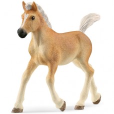Horse - Haflinger Foal - Schleich Horse Club 13951  New in 2023  