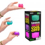 Teenie Cool Cats - Squishy Nee Doh - Schylling COMING SOON