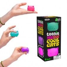 Teenie Cool Cats - Squishy Nee Doh - Schylling COMING SOON