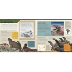 Animal Atlas - Lonely Planet Kids 