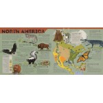 Animal Atlas - Lonely Planet Kids 