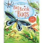 Big Book of Bugs - Usborne
