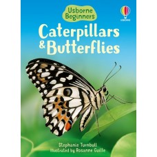 Caterpillars and Butterflies - Usborne