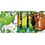 Peep Inside - Animal Homes - Usborne 