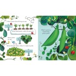 Peep Inside - The Farm - Usborne 