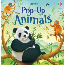 Pop Up Animals - Usborne