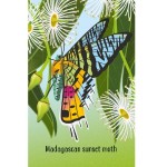 Snap - Bugs - Usborne