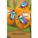Snap - Bugs - Usborne