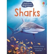 Sharks - Usborne
